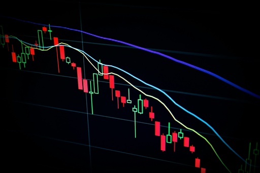 Stock Market Fundamentals: Level Up Your Game
